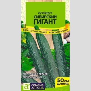 Огурец Сибирский Гигант F1