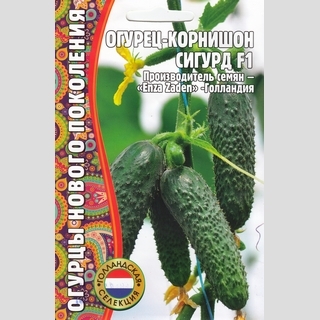 Огурец Сигурд F1 (большой пакет)