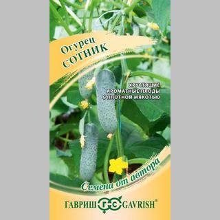 Огурец Сотник F1 (Профессиональная линия)