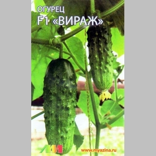 Огурец Вираж F1