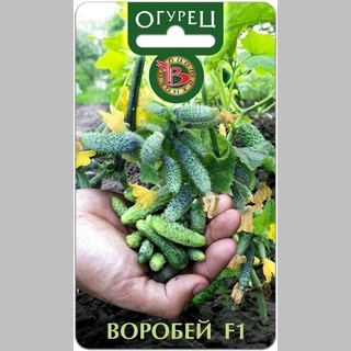 Огурец Воробей F1
