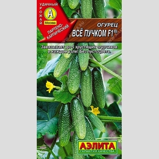 Огурец Все пучком F1