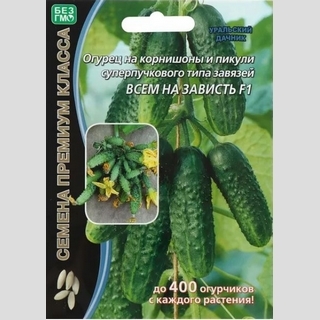 Огурец Всем на Зависть F1 (большой пакет)