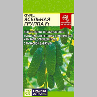 Огурец Ясельная Группа F1