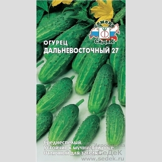 Огурец Дальневосточный-27