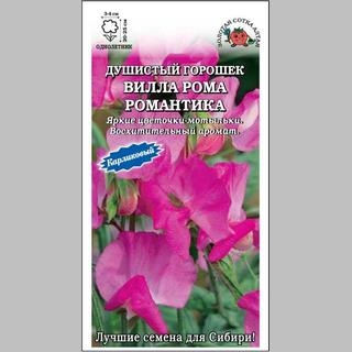 Горошек Вилла Рома Романтика (душистый)
