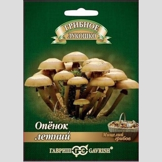 Грибы - Опенок летний на древесной палочке (большой пакет)