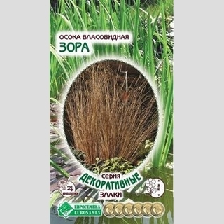 Осока Зора власовидная