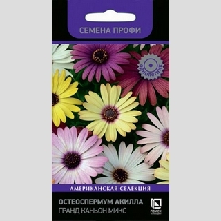 Остеоспермум Акилла Гранд Каньон Микс