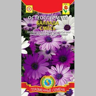 Остеоспермум Баллада смесь