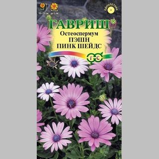 Остеоспермум Пэшн Пинк Шейдс