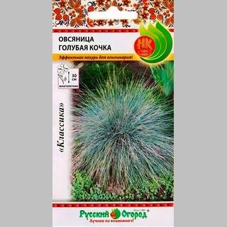 Овсяница Голубая кочка