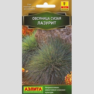 Овсяница Лазурит сизая