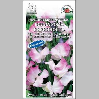Горошек Вилла Рома Невинность (душистый)