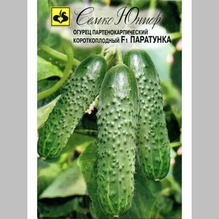 Огурец Паратунка F1