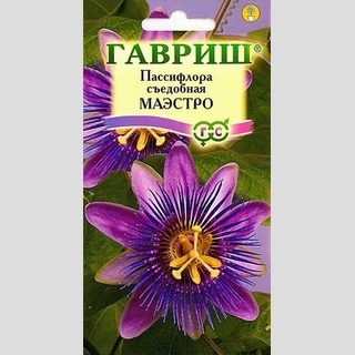 Пассифлора Маэстро (съедобная)