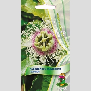 Пассифлора Гэлакси