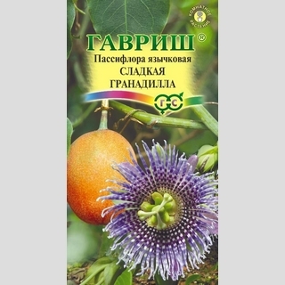 Пассифлора Сладкая гранадилла (язычковая)