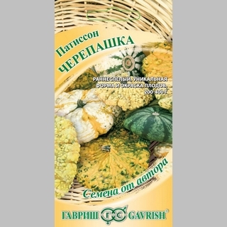 Патиссон Черепашка