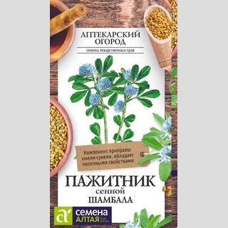 Пажитник сенной Шамбала