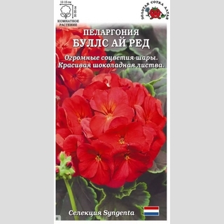 Пеларгония Буллс Ай Ред F1