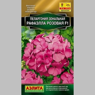 Пеларгония Рафаэлла F1 розовая