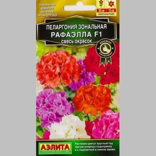 Пеларгония Рафаэлла F1 смесь