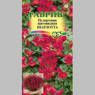 Пеларгония Шарлотта (ампельная)