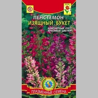 Пенстемон Изящный букет