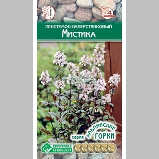 Пенстемон Мистика