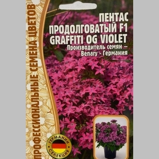 Пентас Graffiti OG F1 Violet (большой пакет)