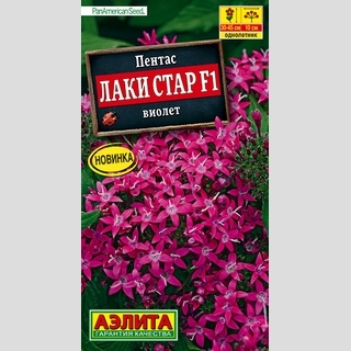 Пентас Лаки стар F1 виолет
