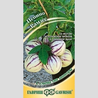 Дынная груша Рамзес (Пепино)