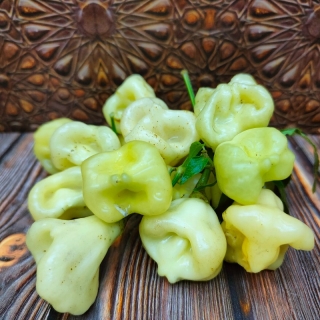 Перец Aji Fantasy Sparkly White (большой пакет)