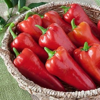 Перец Алая Заря