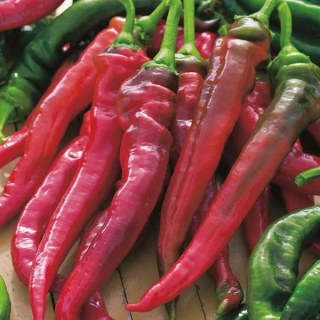 Перец Большой Джим (Big Jim) (большой пакет)