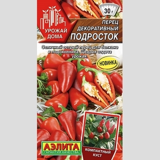 Перец Подросток (декоративный)
