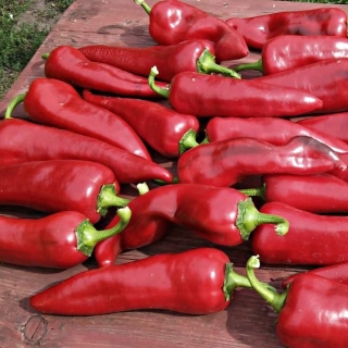 Перец Дольче Итальяно