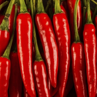 Перец Кайенский