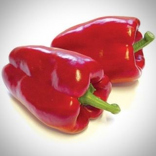 Перец Клаудио F1