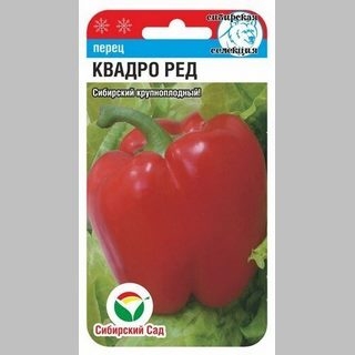 Перец Квадро Ред