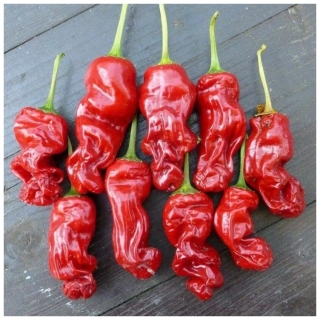 Перец Питер Пеппер Красный (Peter Pepper Red) (большой пакет)