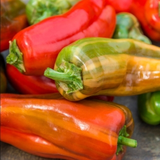 Перец Полосатый Джо