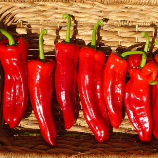 Перец Рамиро (большой пакет)