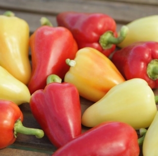 Перец сладкий Испанский Rico