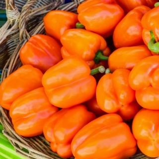 Перец Orange Bell (большой пакет)