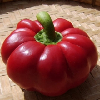 Перец Red Ruffle Pimento (большой пакет)