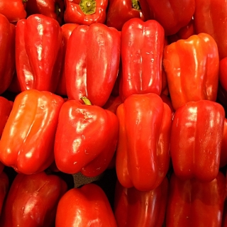 Перец Стопудовый F1