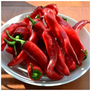 Перец Армянский Цицак (острый) (большой пакет)