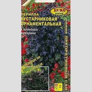 Перилла кустарниковая орнаментальная